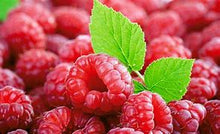 Load image into Gallery viewer, Large THC Gummies, 100mg THC